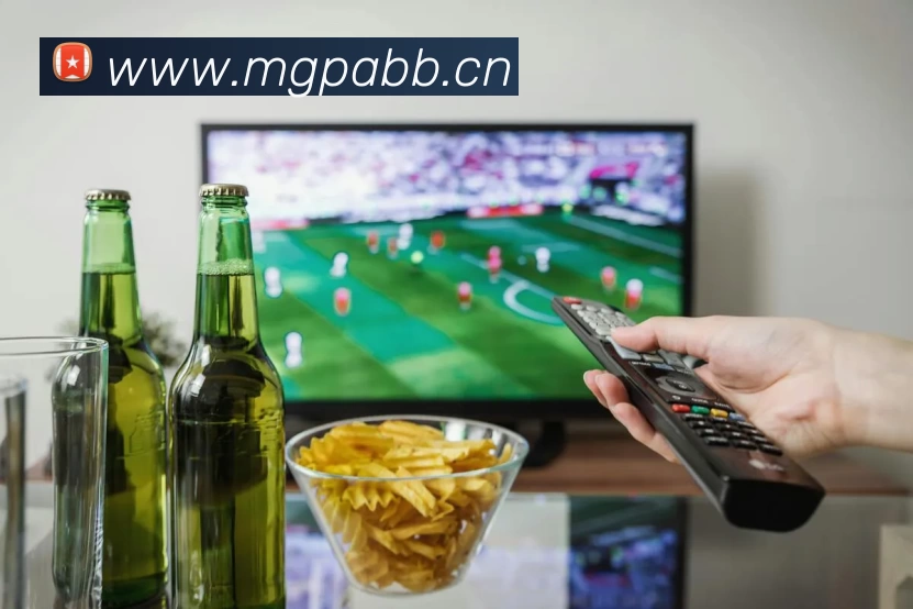 多媒体互动体验